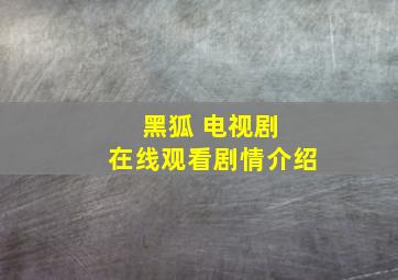 黑狐 电视剧 在线观看剧情介绍